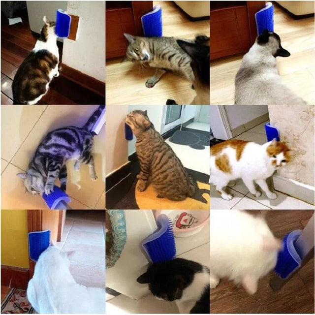 For the Cats!