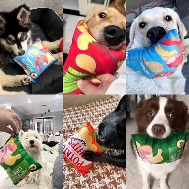 For the Dogs!
