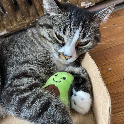 Smokey's Stash Catnip Toys-Avocado, Banana & Sisal Rope Toys