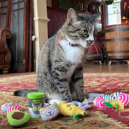 Smokey's Stash Catnip Toys-Avocado, Banana & Sisal Rope Toys