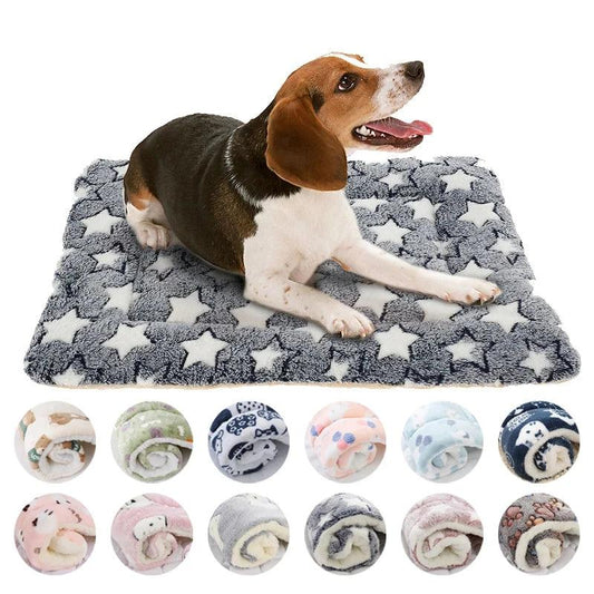 Lovely Pet Sleeping Bed and Cushion - Love4thePets